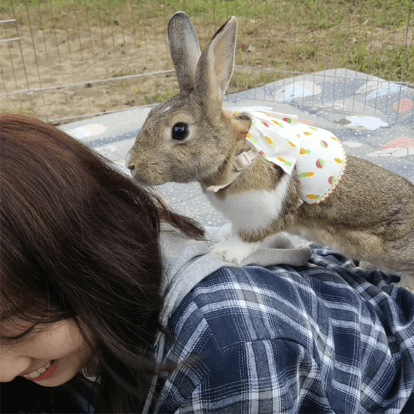 시안 프로필